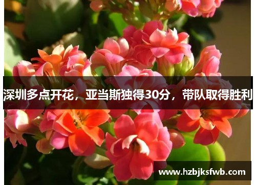 深圳多点开花，亚当斯独得30分，带队取得胜利